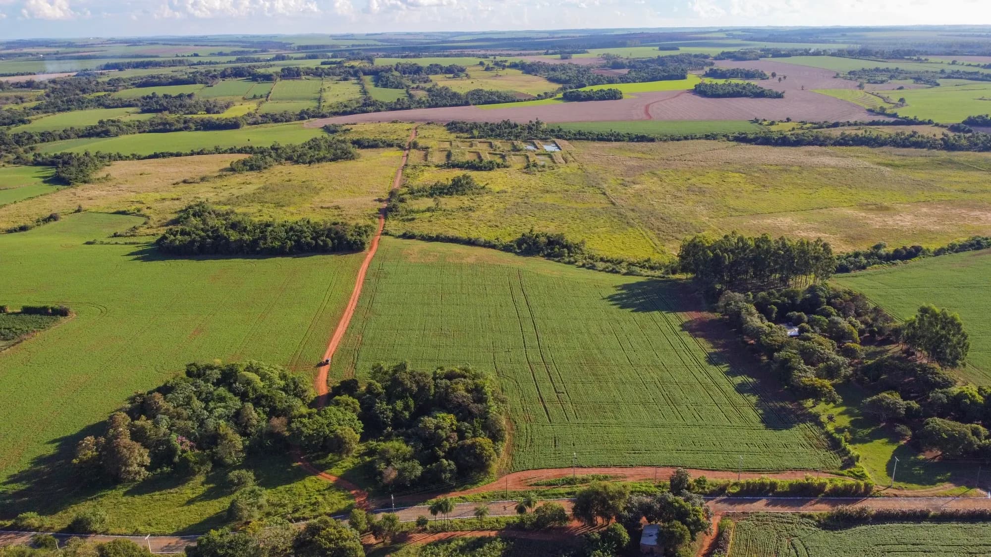 Terreno de 190.000 m² à venda em Los Cedrales